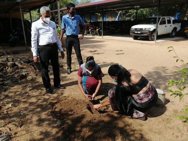 ‘Haritha Deyak’ National Home Gardening Program